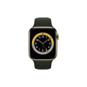 Apple Watch Series 6 GPS + Cellular, 44mm Edelstahl Gold Armband zyperngrünes (1)