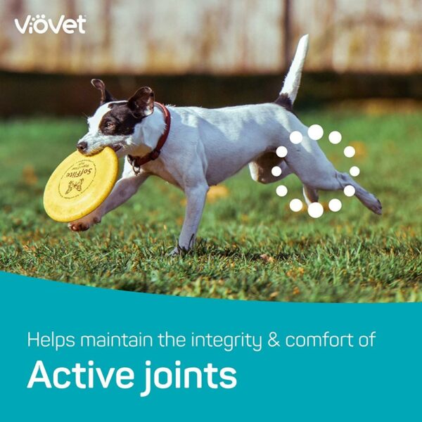 joint-force-hunde-tabletten-gesundheit-5