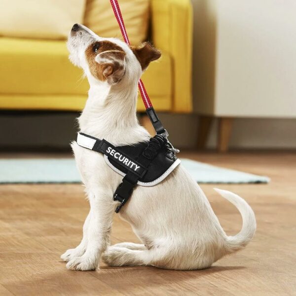 zoofari-hundegeschirr-m-51-67cm-brust-3